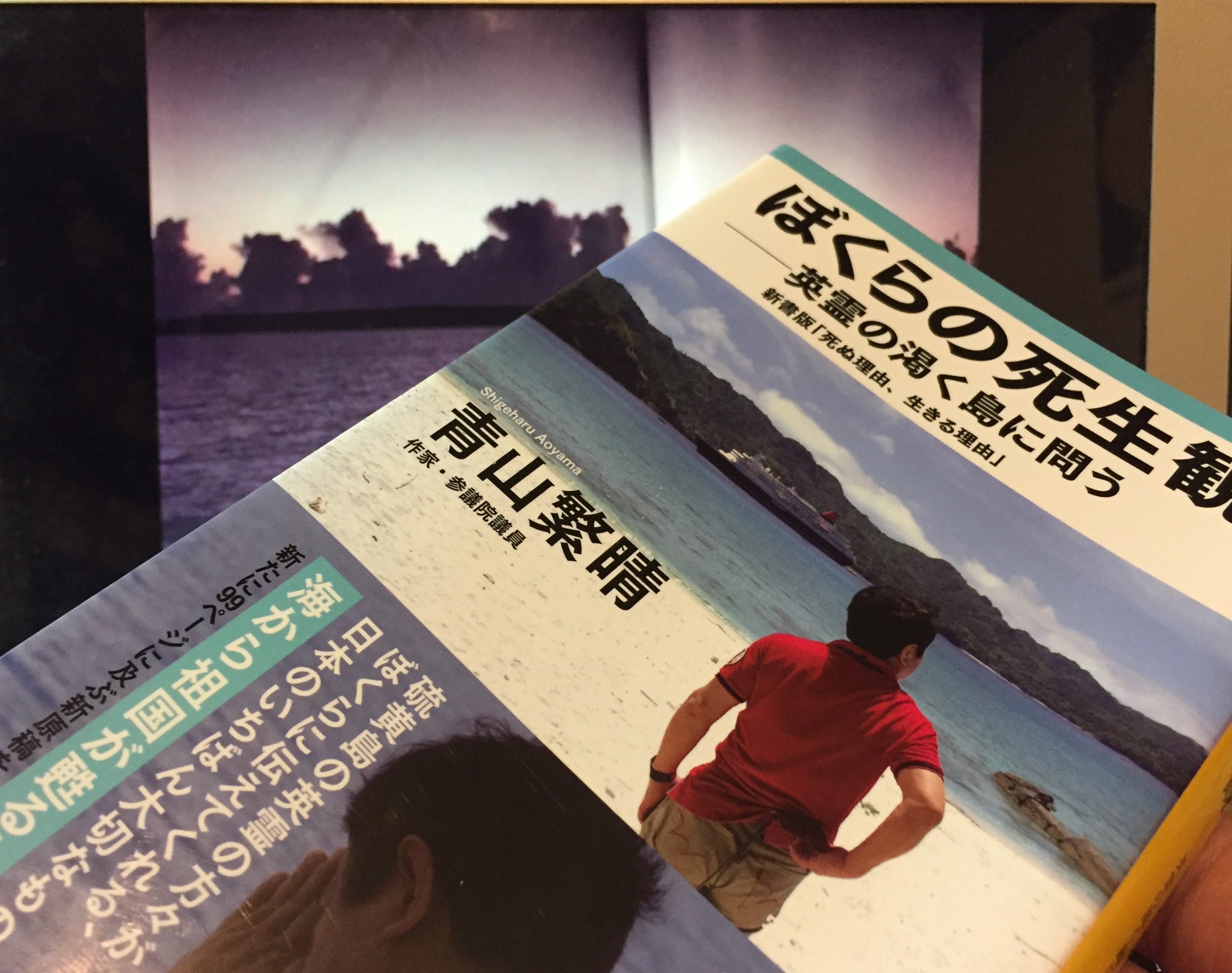 青山繁晴議員が問う硫黄島 そして日本人 ぼくらの死生観 ー 英霊の渇く島に問う 読了 Mewisemagic Net